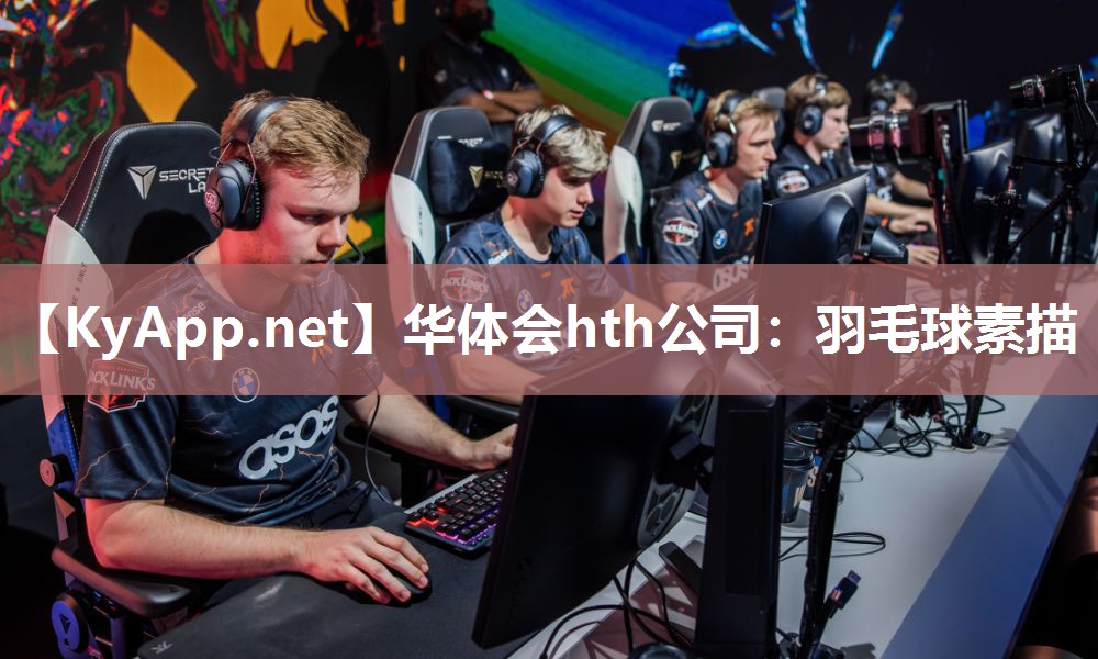 华体会hth公司：羽毛球素描