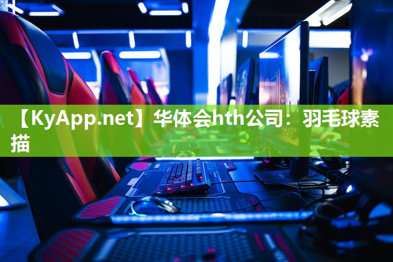 羽毛球素描